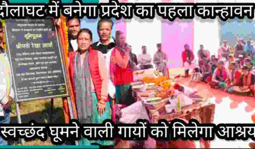 Screenshot 2025 1123 192611