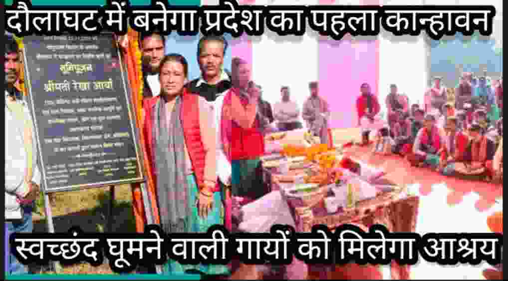 Screenshot 2025 1123 192611