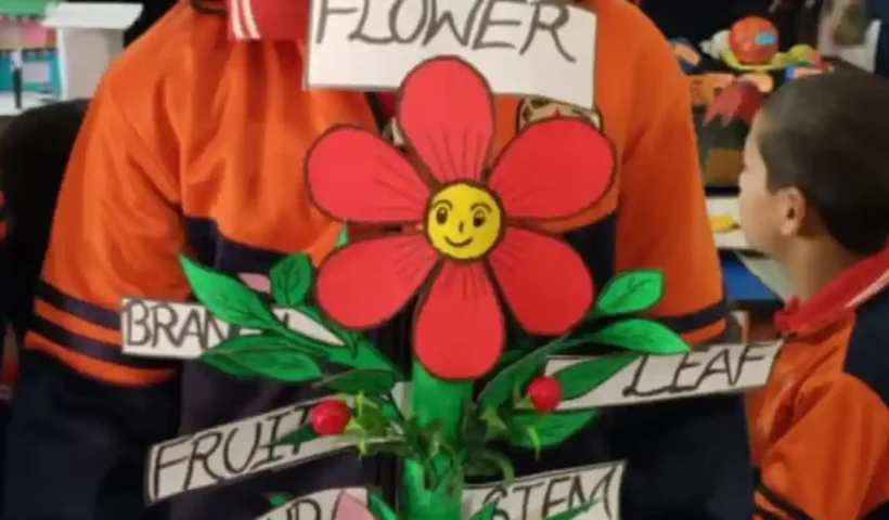 students-of-ssm-almora-celebrate-j-c-bose-jayanti-with-science-exhibition