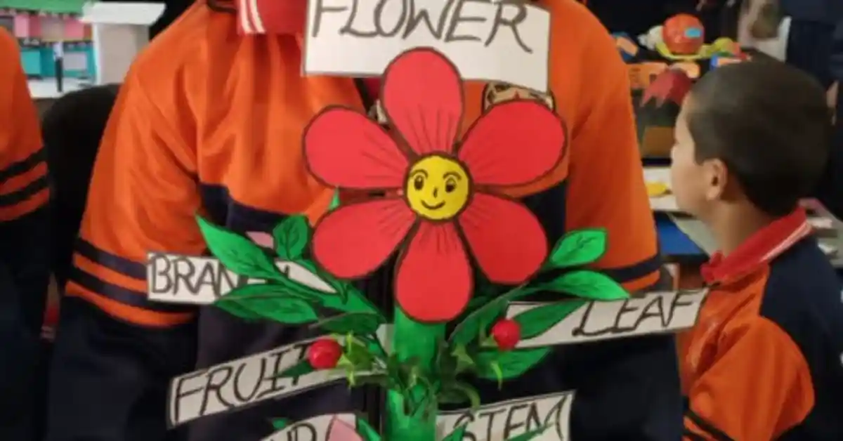 students-of-ssm-almora-celebrate-j-c-bose-jayanti-with-science-exhibition