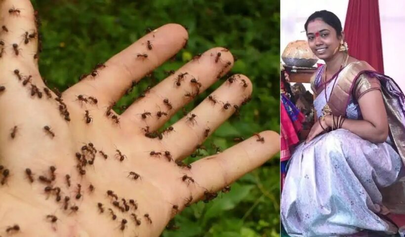 n68799368717624351743941f19d22061c27b34459709d5d3086135931ad45747aa4fe336a713e868336c21