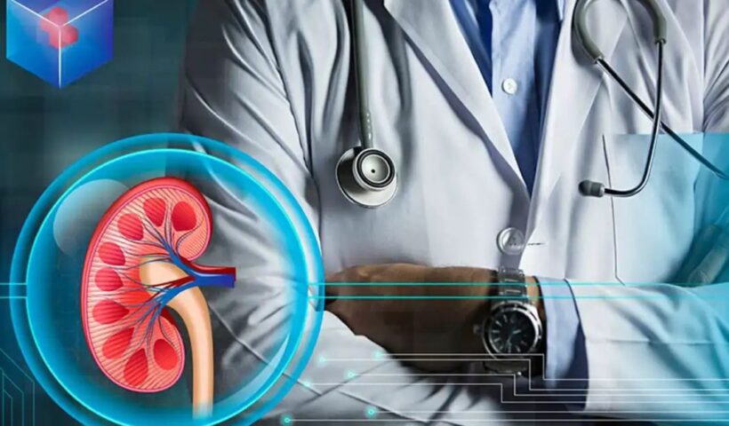 n688328664176268301078359227fbd70e11e66e2a48aa6b838af0d12f9928499ec06e5b854bb1e9f482a38