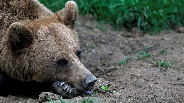 n6899257331763696683072ab576b23c182ab13bb26e210e67b4574b02d398cc60e13d2b510b74ed45f122e