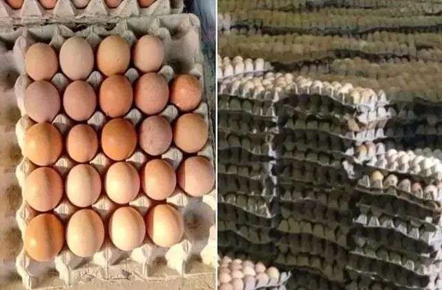 n6909086021764328318646ca7bb83d8e19a4aac25d7e29282fbc928a43c87c8697fd127541b0efbfdb3b32