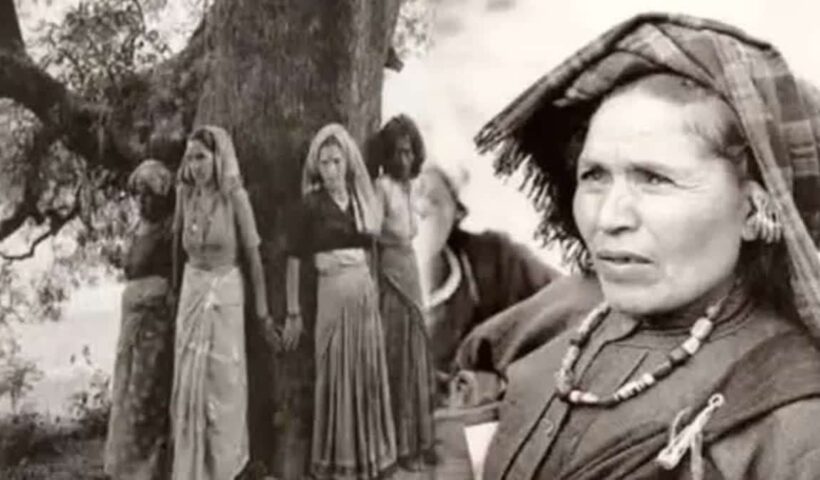 1200 675 25522261 thumbnail 16x9 hg