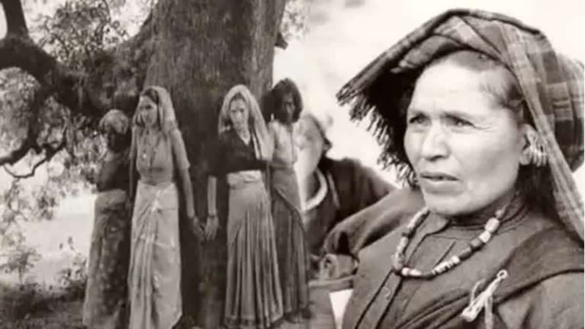 1200 675 25522261 thumbnail 16x9 hg