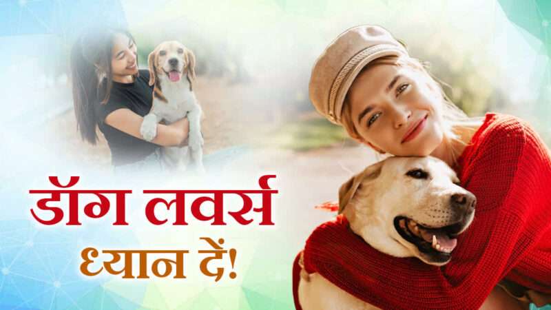 1200 675 25615463 thumbnail 16x9 ghgffd54f