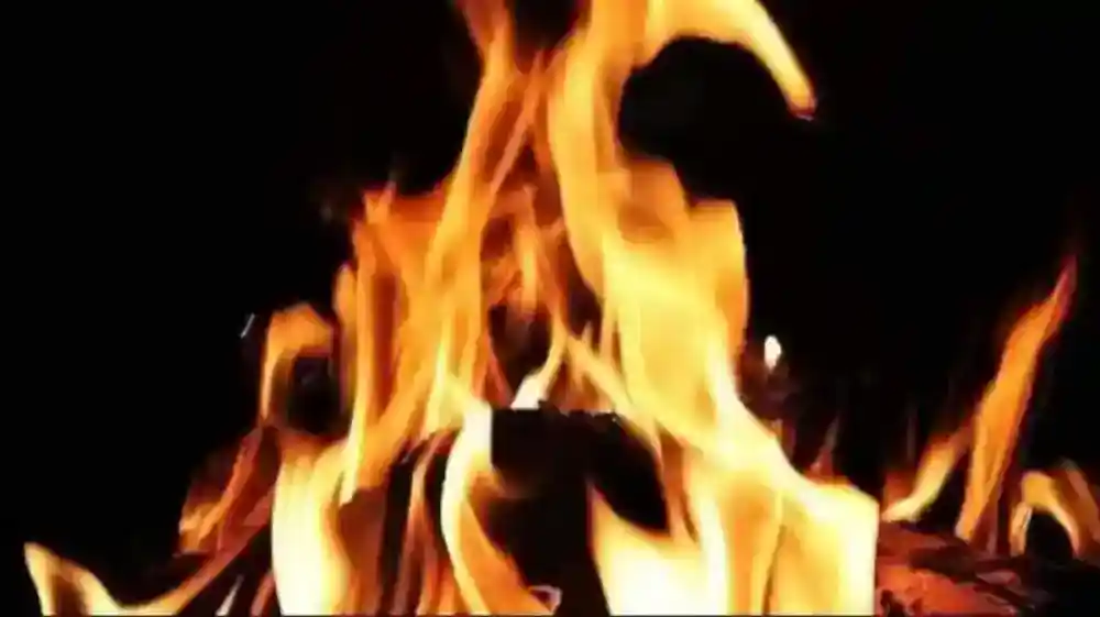 65aea58abfe2d angeethi 222737624 16x9 1