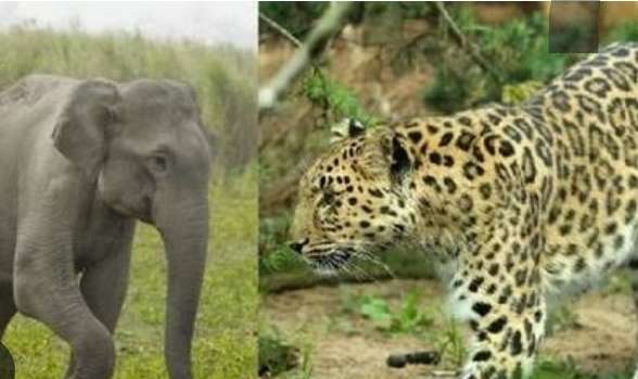 Screenshot 20251215 160238 Google