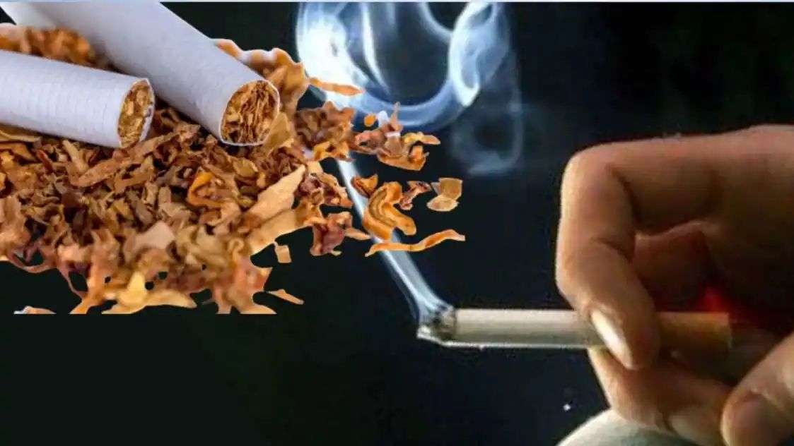 n6916740381764829826925f7b1546b7b5d212bd5da4aadf799737b42ef06656769b04a622607a6b84386be