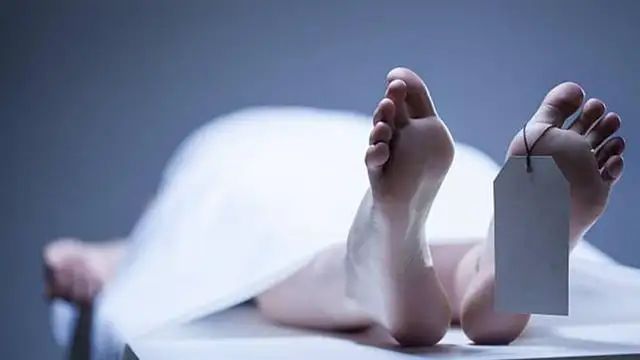 n692179911176519231662116057edb863ebe18a133a26404d6c952126cbd27cf124a53198c1f30356fbeb0