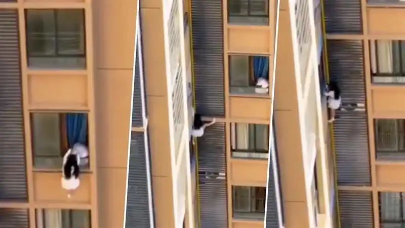 n692248028176519914428625249b8f48fe1ac11df74a7cc80fa0d31fb5b727802a9c3a89c8c5501d2f14b1