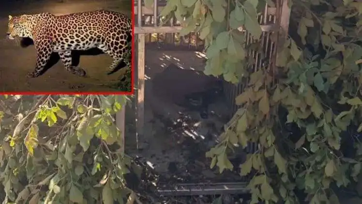 n69264432117654605727208ceca1b8c532c9a2d27afce58a2625b11b217d9c516e4878b198de12ea021cea