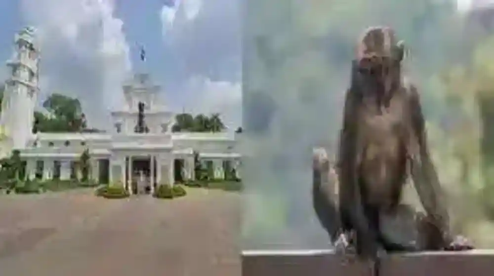 Pi7compressedn6954739881767410785618b5d5ec4535ba51a80ccb61dd55177026f30871c95bc7f51e93ad55fadb10e1ee