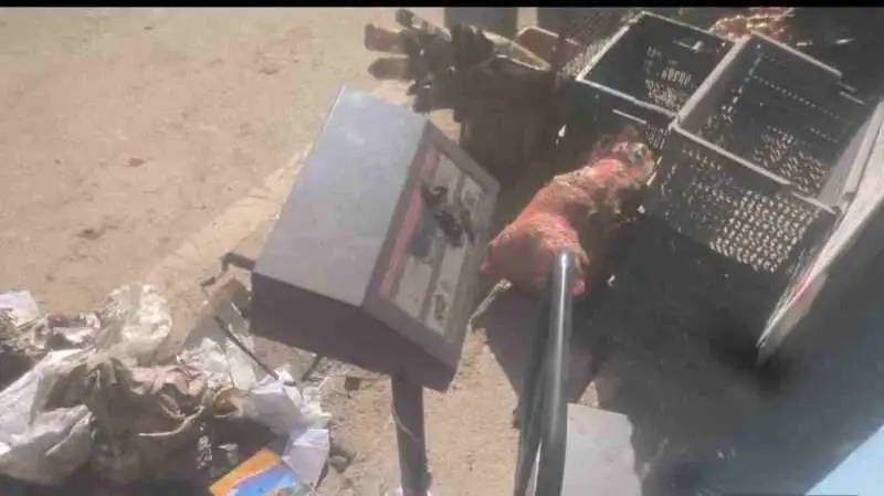 Screenshot 2026 01 27 18 43 48 43 7352322957d4404136654ef4adb64504