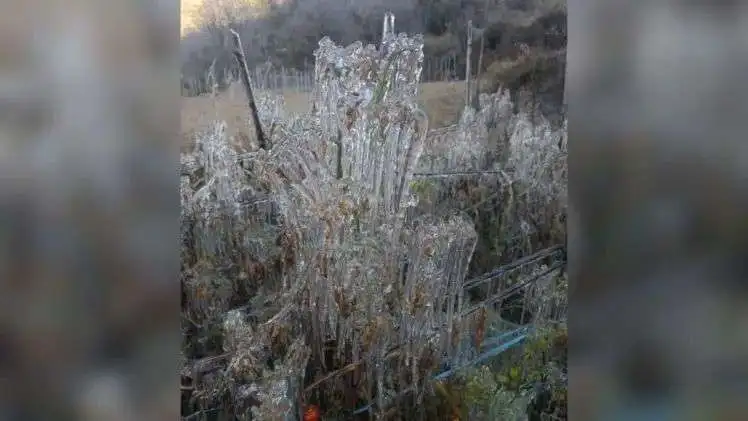 n696802918176827398446325cb79ac5f3f21bca5b793d5a51da7ff205e8568369332d5feddcfb14396a4f4