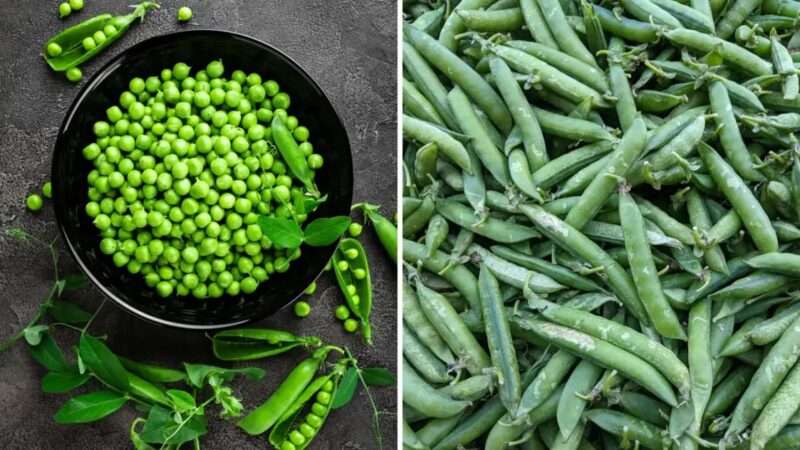 n69684880817683037845401786fba78545b77a37b019690bb107c6f70b722e63e28a638e8c27fee321f9e0