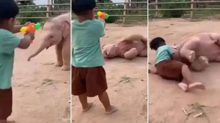 n6982175091769230734188711d3b8d447006904fd3d3ca75a871fde43b0fe80c742e5bdb7671717a1ba0f4