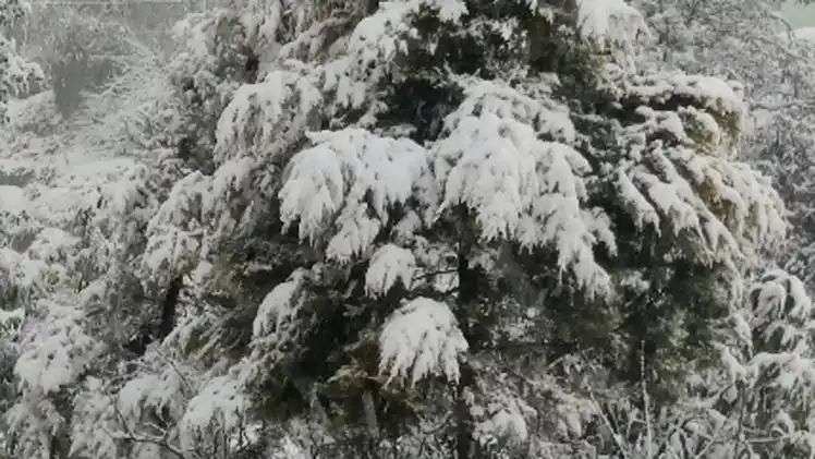 n6982183551769229846888872303b2d673477d22337e5ceefaa6b67e16b21e682fe5f3bba48c671c63c0bb