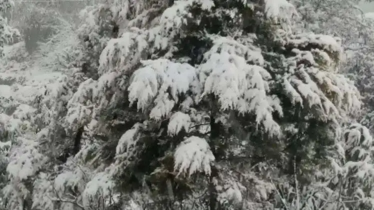 n6982183551769229846888872303b2d673477d22337e5ceefaa6b67e16b21e682fe5f3bba48c671c63c0bb