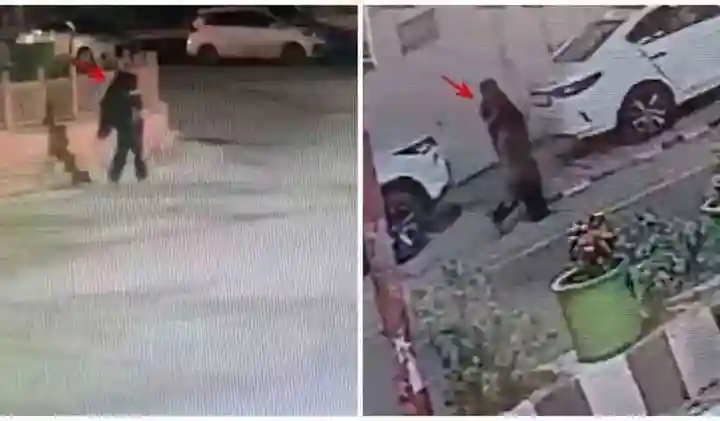 1200 675 26090630 thumbnail 16x9 pic 17 aspera