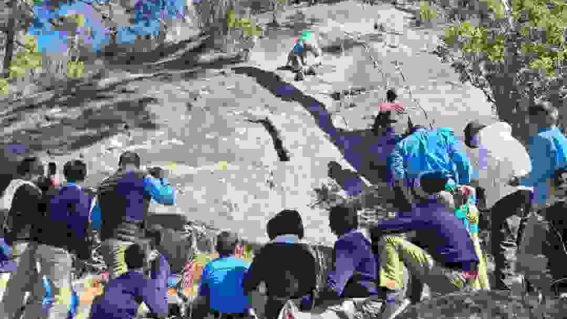 Screenshot 2026 02 01 21 31 22 51 7352322957d4404136654ef4adb64504