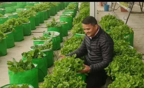 him-connect-will-bridge-the-gap-between-research-and-investment