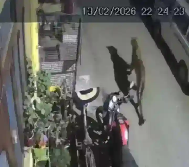 leopard-spotted-doorstep-of-a-house-in-ranikhet-market