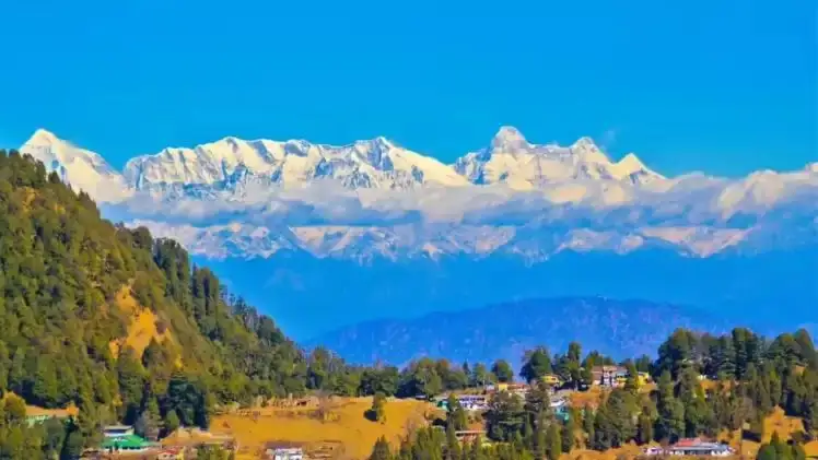 n7017310731771643747588db38340434df0a3545e7264ac088dcfb21c5141975159f5a0cb8dd8f7bb246d5