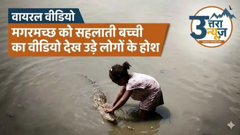 Viral Video Shocks Internet: Girl Seen Petting Crocodile in River, Viewers Stunned