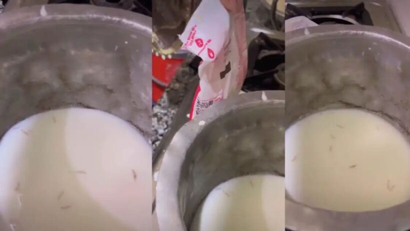 n70500727717738438224207d75dcb393649b4f913cc4e719c007835784f2a6f026fee48083af3bf6a4ca06