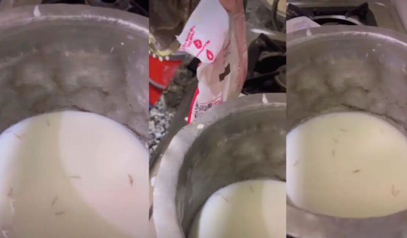 n70500727717738438224207d75dcb393649b4f913cc4e719c007835784f2a6f026fee48083af3bf6a4ca06