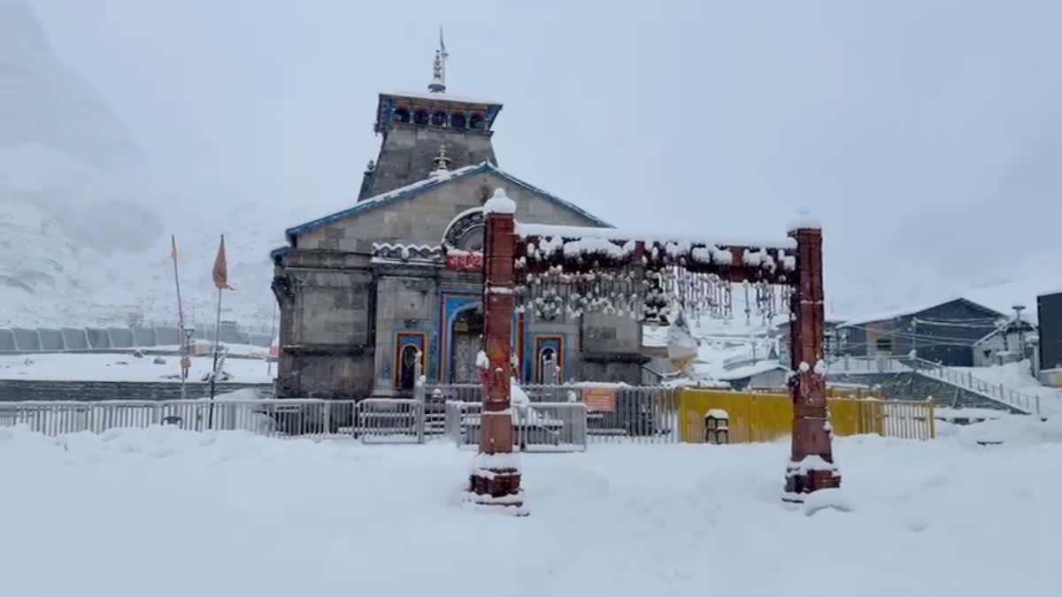 1200 675 26396647 thumbnail 16x9 pic 18 aspera