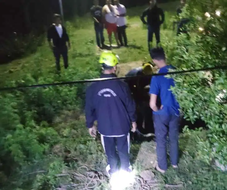 fire-service-rescues-cattle-from-pit-in-almora