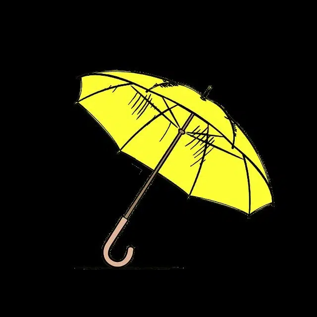weather update