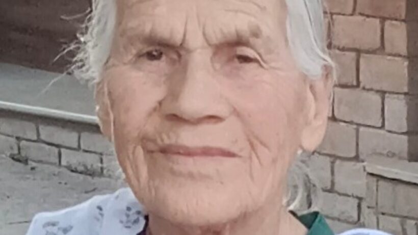 Kanti Bhatt activist at Lakshmi Ashram Kausani