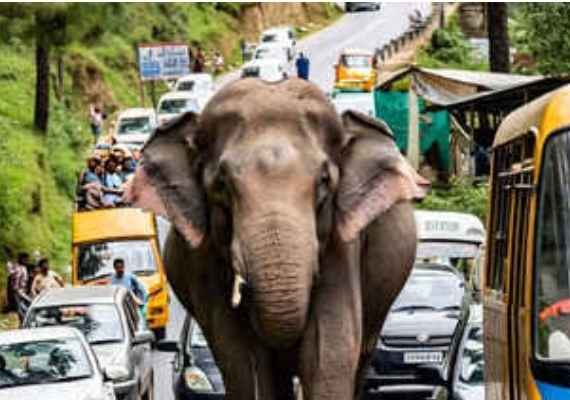 Screenshot 20250610 153536 Google