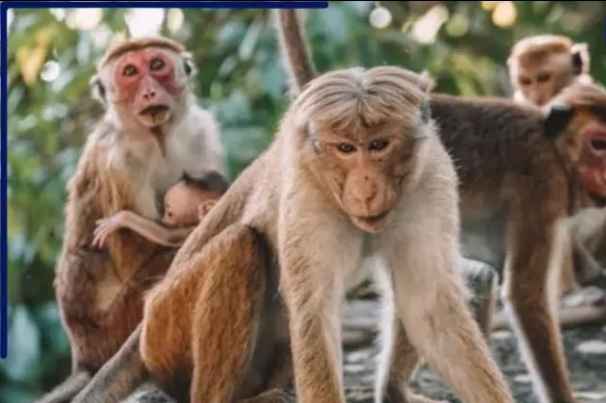 Screenshot 20250610 222128 Dailyhunt