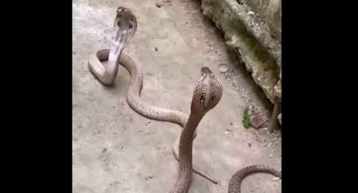 Screenshot 20250630 193221 Google