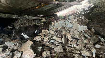 Screenshot 2025 0630 114325