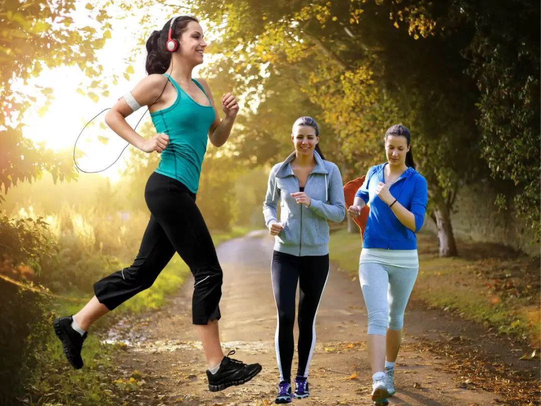 n6646389191747482500468d5def859fe2dce9e6a7b13382edd847e067071ee726dd604f482ba203683633a