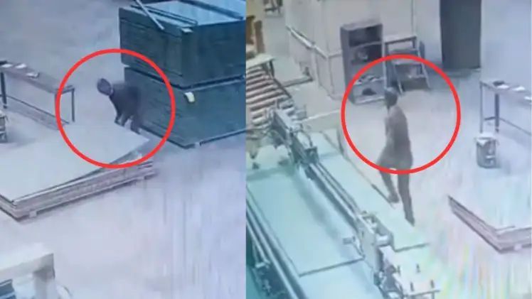 n6649104041747647305396400cd45d7db69c641e58605d01483019b821c4c76fda026800aae0899aebdfa5