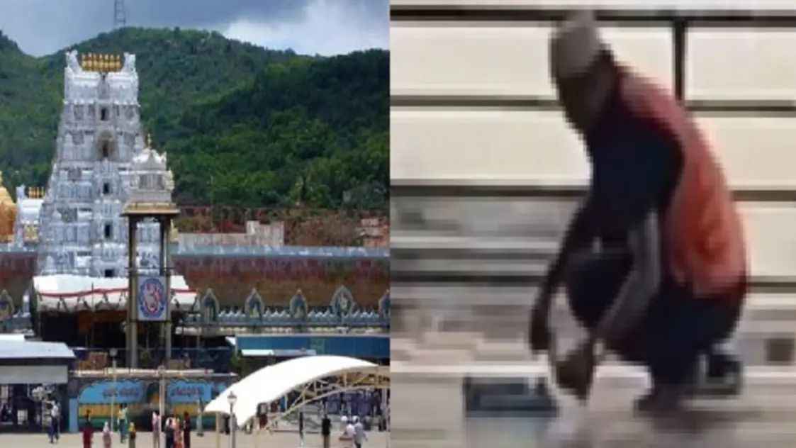 n66544780517480002165182dbad41f4ee18b16c6674c740a17333ce7393c64e6087c0f9931dfc35a7a5090