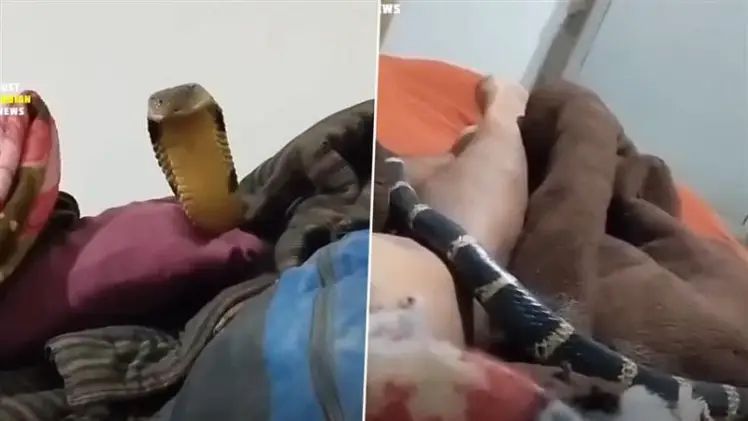 n6655490001748143121196ac3113d0f591b6c39f3f91515457b7b7ba922d4c789338e8df598872ccab4fdc