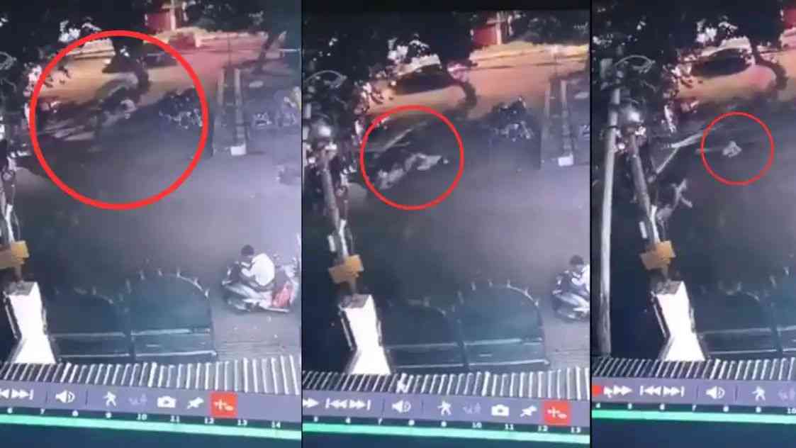 n6656019151748088079544d776b765362aa09935291f9065c2dc514021132c4363b5343f4e68d48949d66e