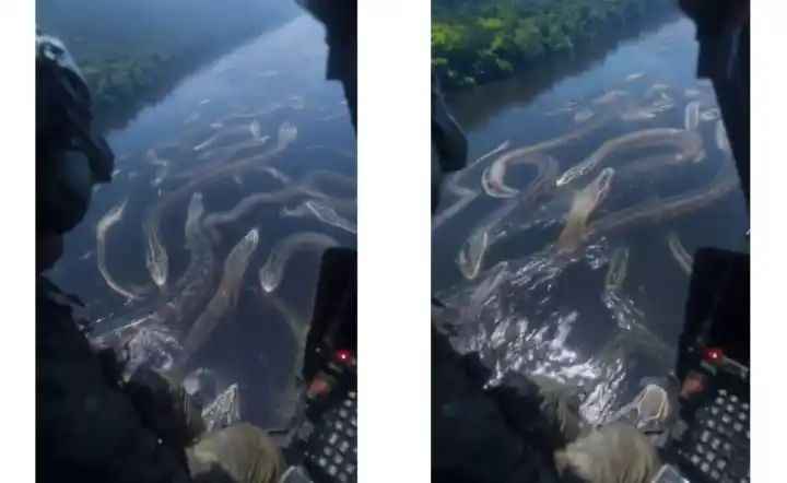 n6658391061748285256047ee577ffe23fb3810a0d7a7d9f06acd393aa10988ba45e5feb10577f9ab1e9968