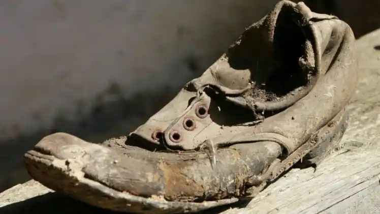 n66586434817483184615427284a029b89c9c74ebe804db62b0f97e93c3ad7c929985d80ae3ed0e36825662