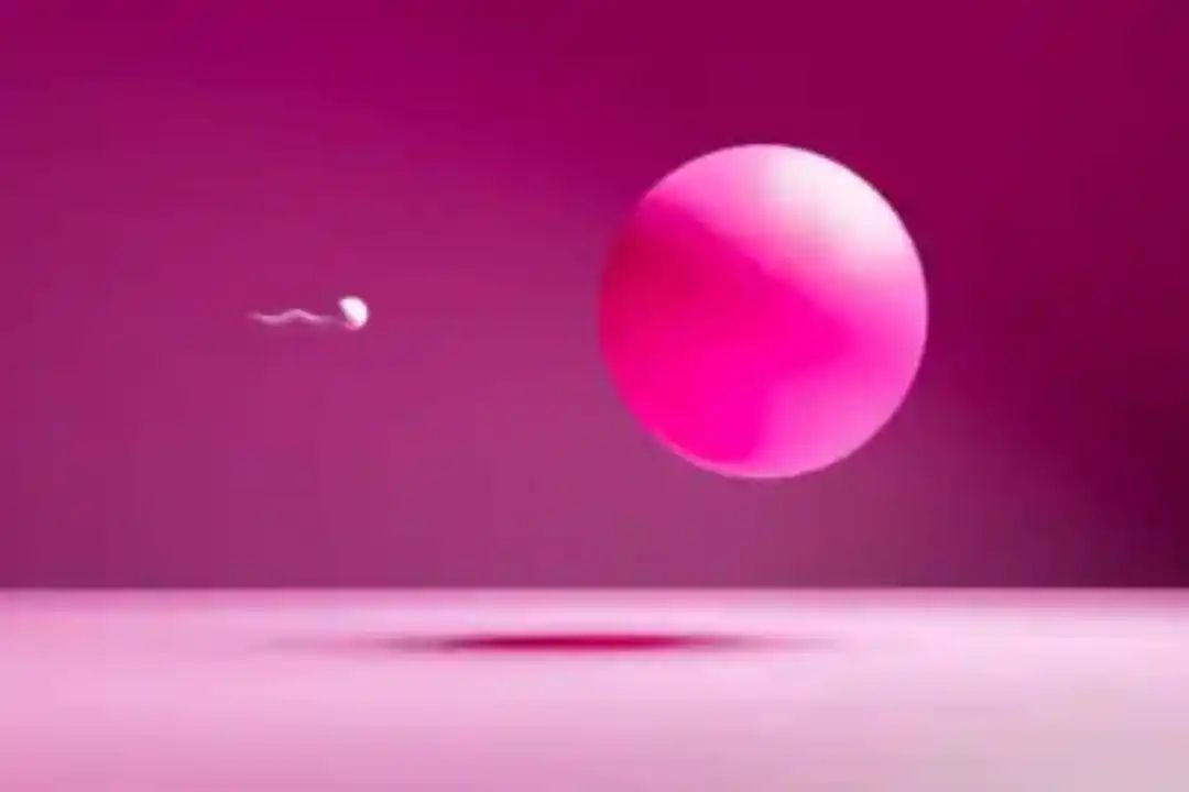 n66625400617485252945578a6be73ad6e4298c9f02efff919b8b02c251fd825fbff876d0e47a2cfb98f6b6