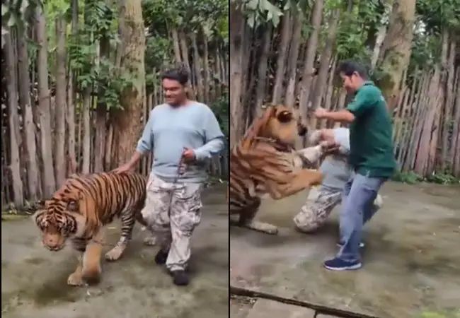 n666450357174867769963451aa262bc6ada47a864f023dfb9732a7caf4494d58b39e3353dc2c7ddfd18883