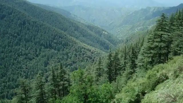 n6666789221748781077751f8fe3e2d52f7e05e68522f25524983c6f6f4912a014096763189c247d9d8a907